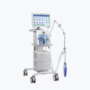 Evita XL